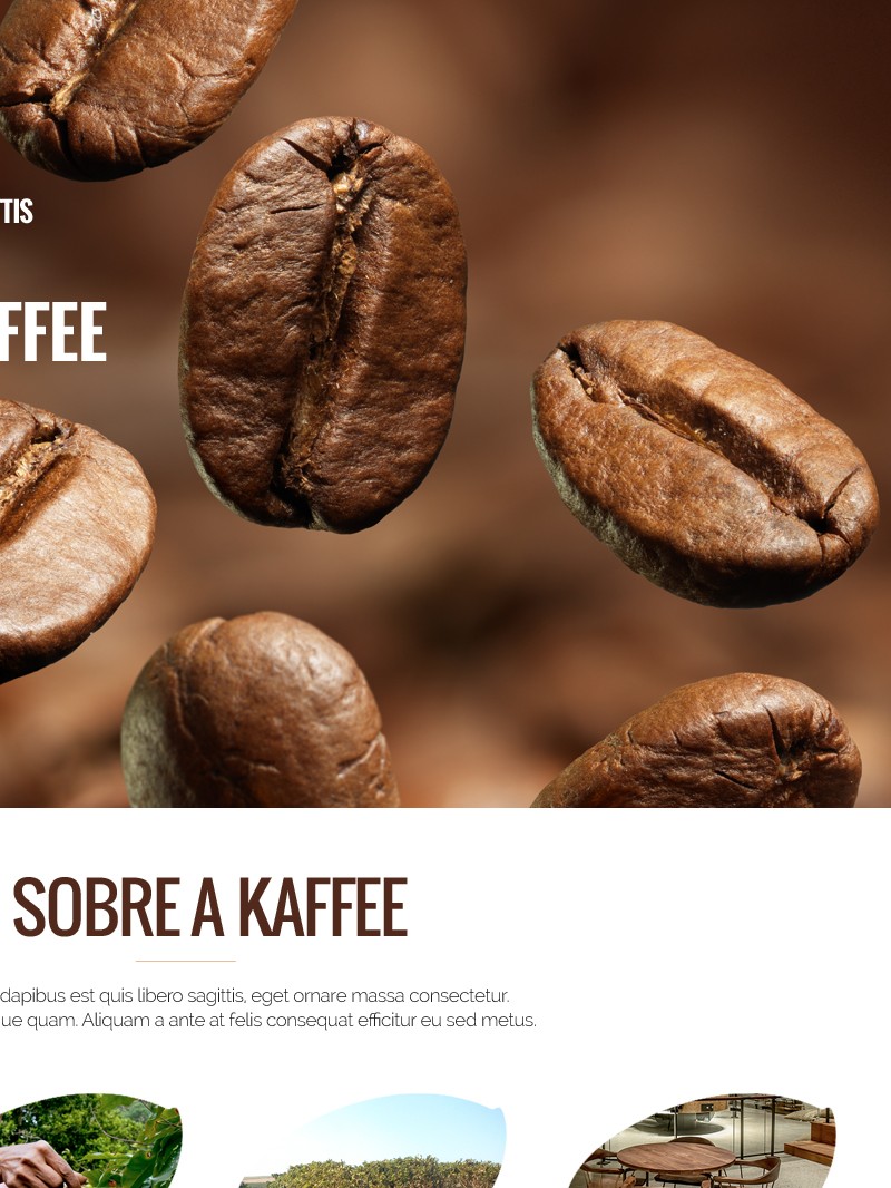 kaffee-criacao-site-5